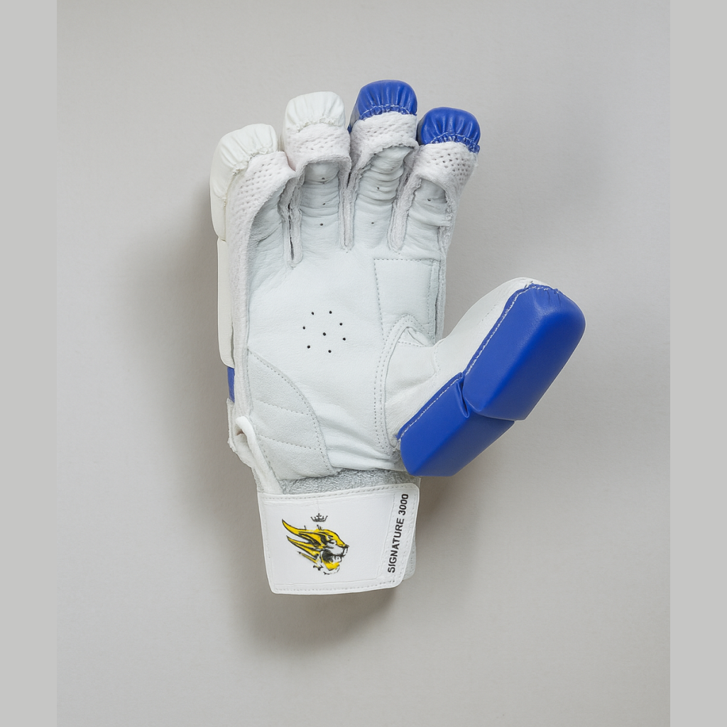 Cricket Batting Glove Signature 3000